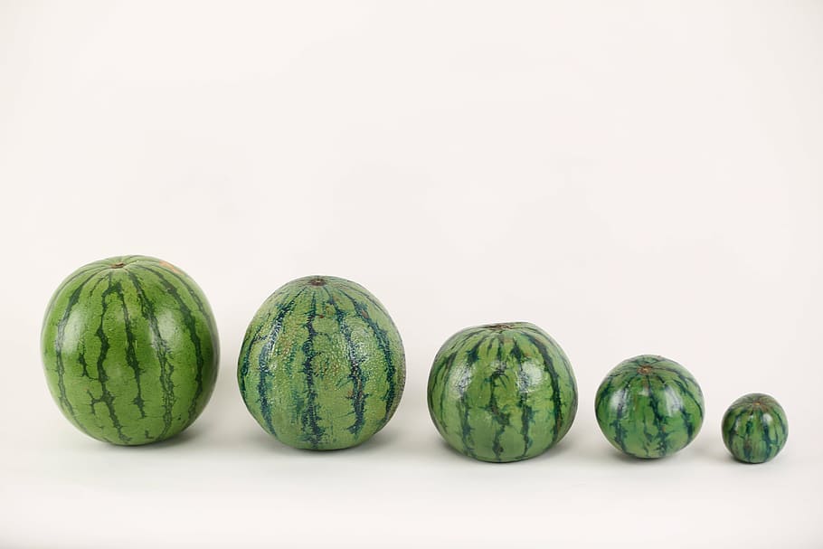 five, green, watermelon fruits, white, surface, watermelon, illusion, paint, food, freshness