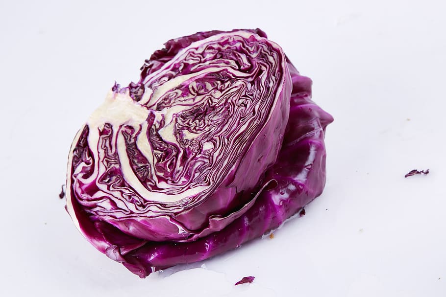 vegetable, food, cabbage, vegetables, purple cabbage, purple, indoors, studio shot, wellbeing, healthy eating