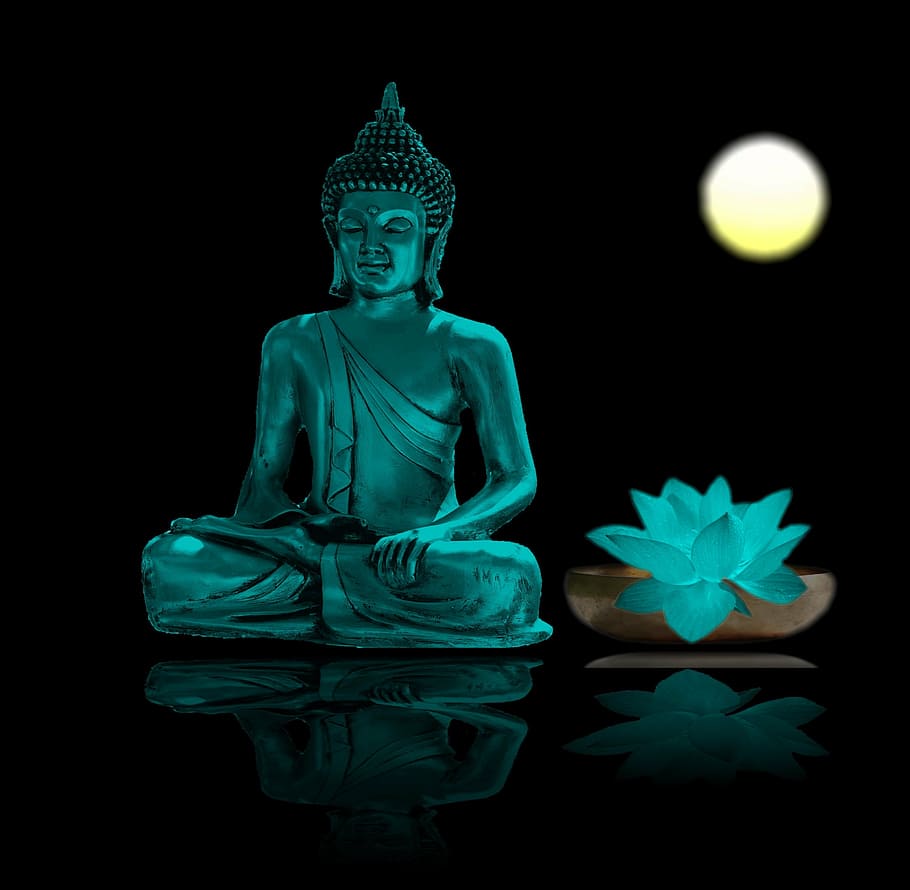 closeup, buddha figurine, glowing, lotus flower, buddha, meditation, relaxation, meditate, buddhism, wellness