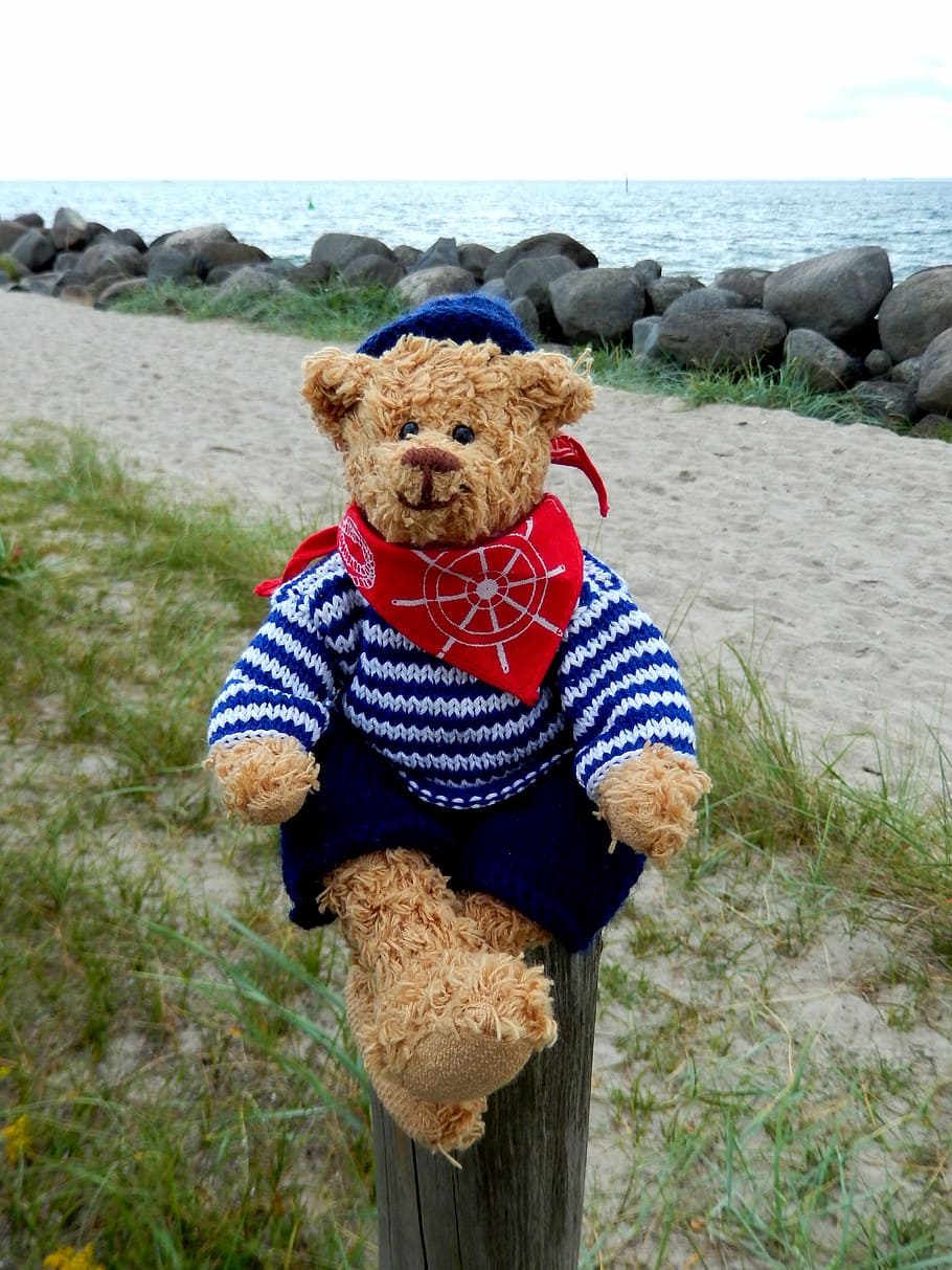 teddy, teddy bear, stuffed animal, children toys, furry teddy bear, play, sea, beach, pile, sit