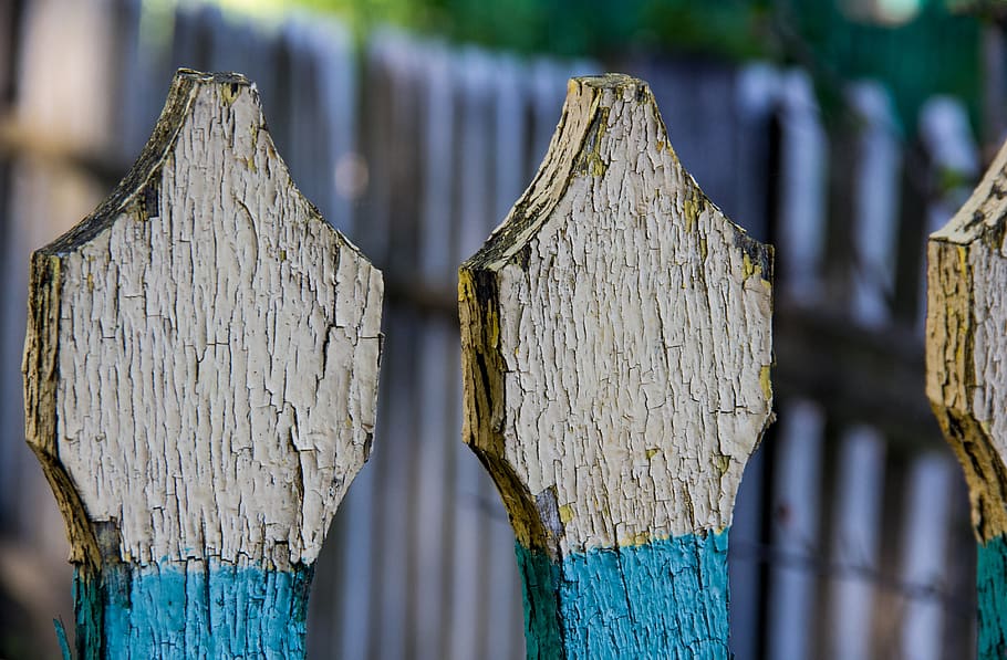 ukraine, fence, paint, tree, flag, wood - material, focus on foreground, close-up, boundary, barrier