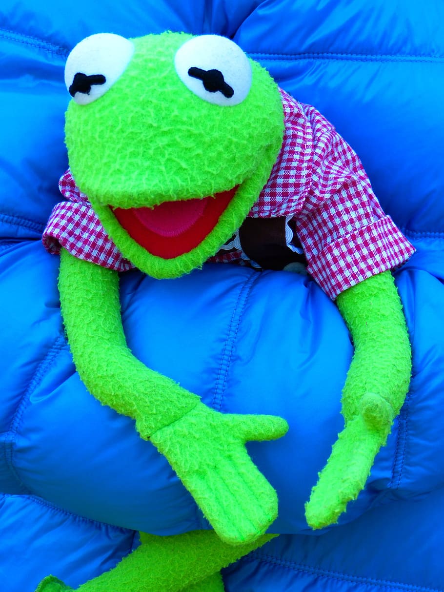 Kermit, Frog, Doll, Green, Blue, green, blue, rag doll, bed, child, childhood