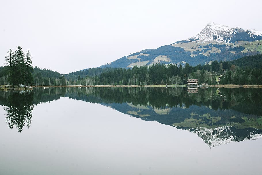nature, water, still, reflection, mountains, trees, landscape, lake, mountain, beauty in nature