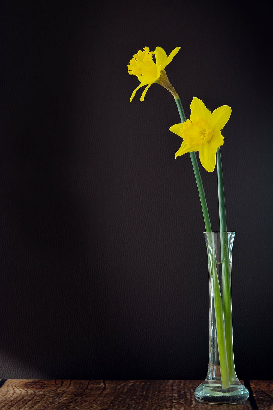 yellow, petaled flowers, flower vase, daffodils, flowers, flower, yellow flower, spring flower, schnittblume, vase