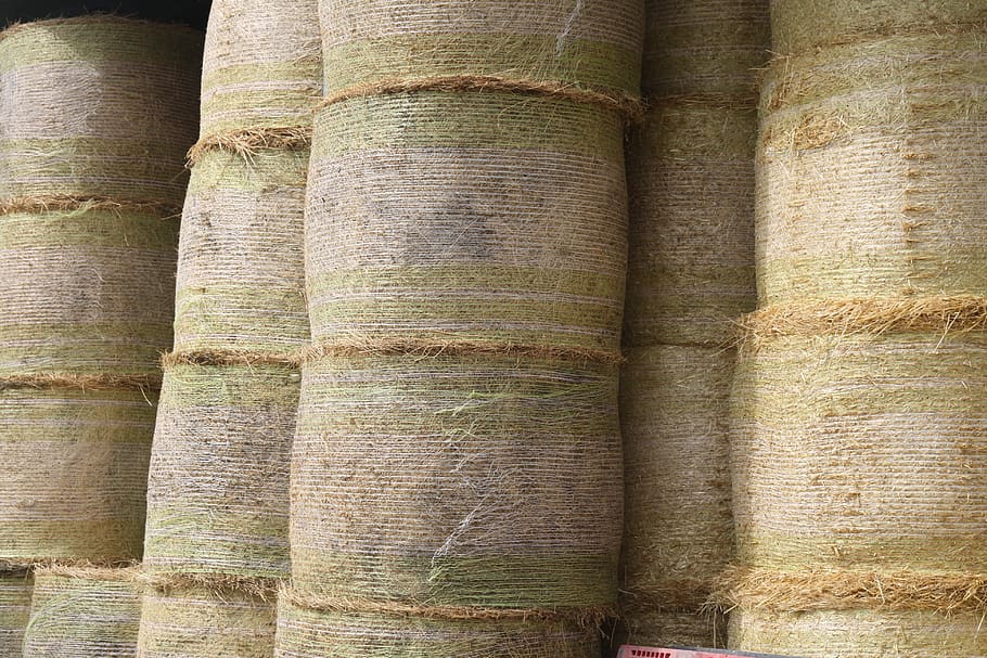 hay, barn, sheaves, stack, full frame, close-up, backgrounds, day, still life, textured