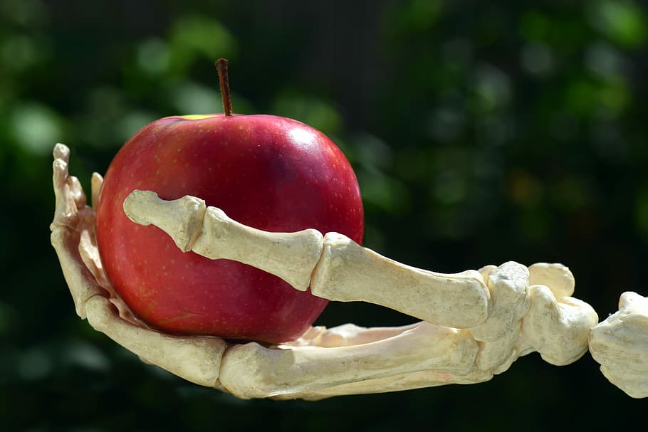 skeleton hand, holding, red, apple, hand, bone, snow white, gift, toxic apple, toxic gift