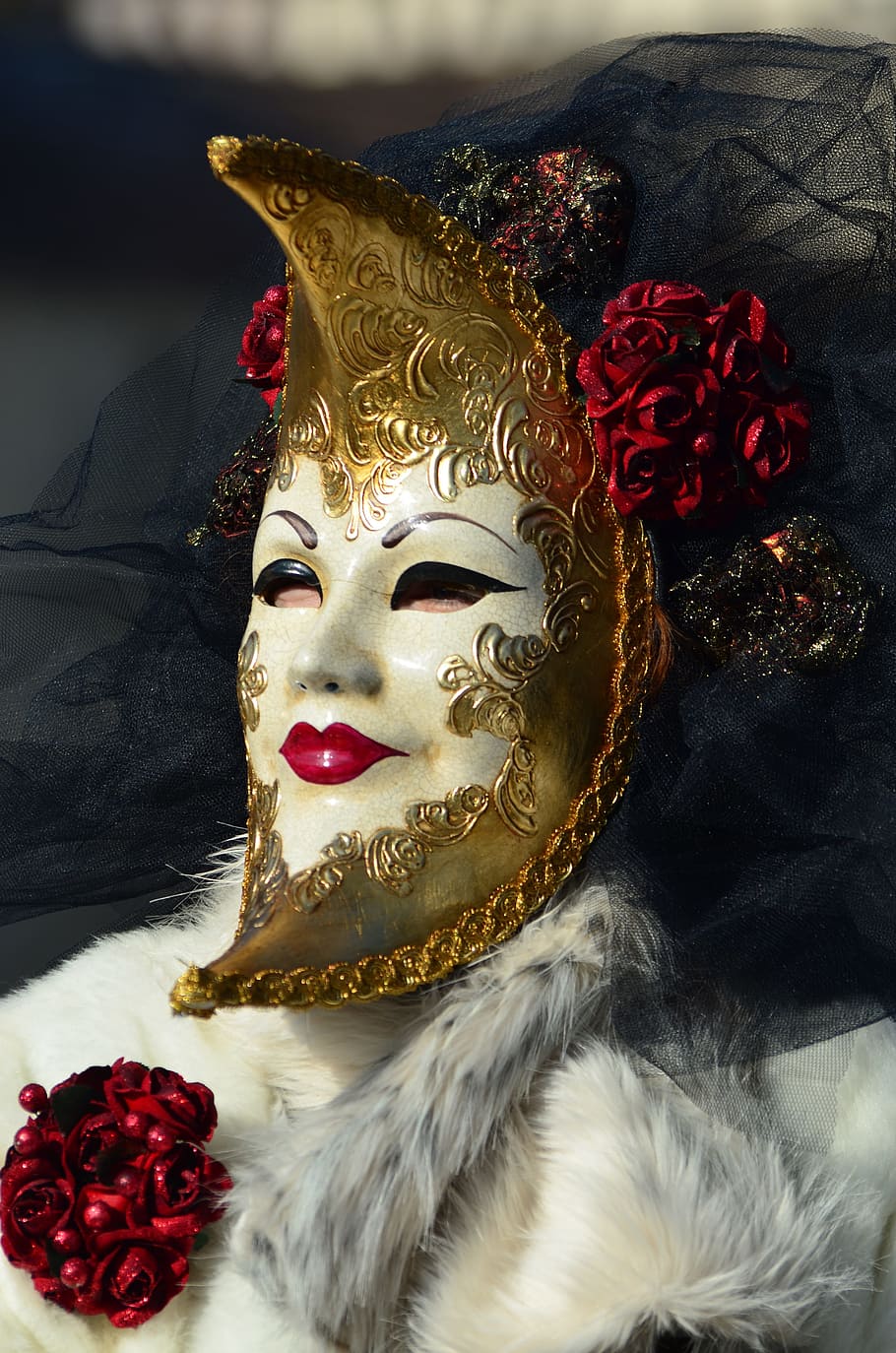 person, wearing, half-moon masquerade mask, carnival, venice, hallia venezia, mask, costume, decorated, figure