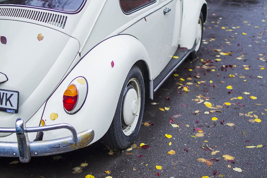 hojas, coche, hoja, verde, símbolo, volkswagen, otoño, vibraciones, vintage, blanco