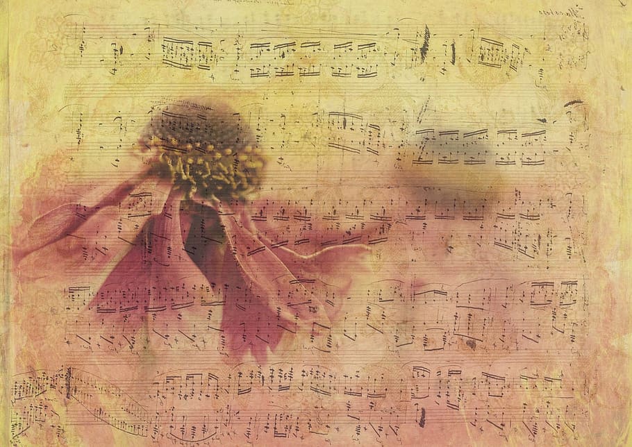 music note sheet, texture, background, paper, blossom, bloom, flower, notenblatt, stationery, pattern