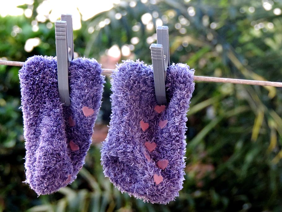 clothes line, pin, nature, scenario, socks, drying, outdoors, purple, plant, close-up