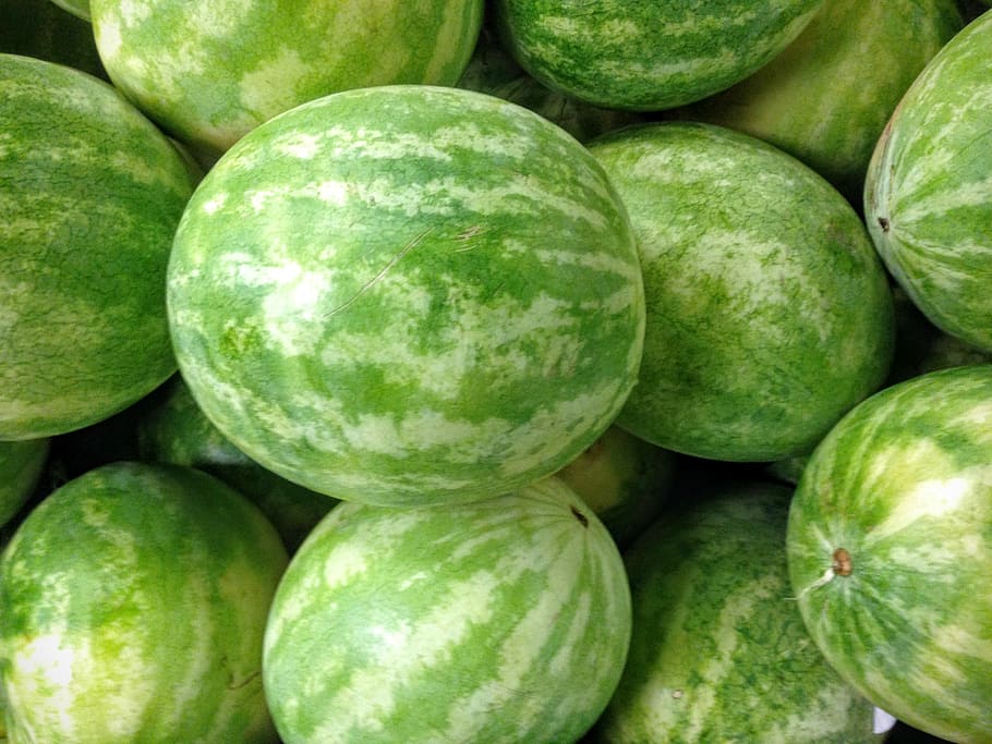 semangka, menghasilkan, segar, makanan, buah, organik, sehat, alami, melon, pertanian