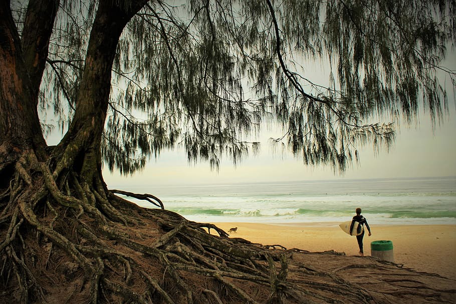 person, holding, surfboard, walking, seashore, beach, surf, flying, mar, wave