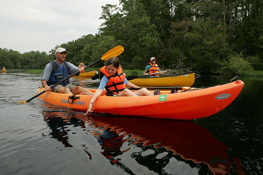canoa, rio, barco, água, natureza, recreação, esporte, aventura, remo, férias