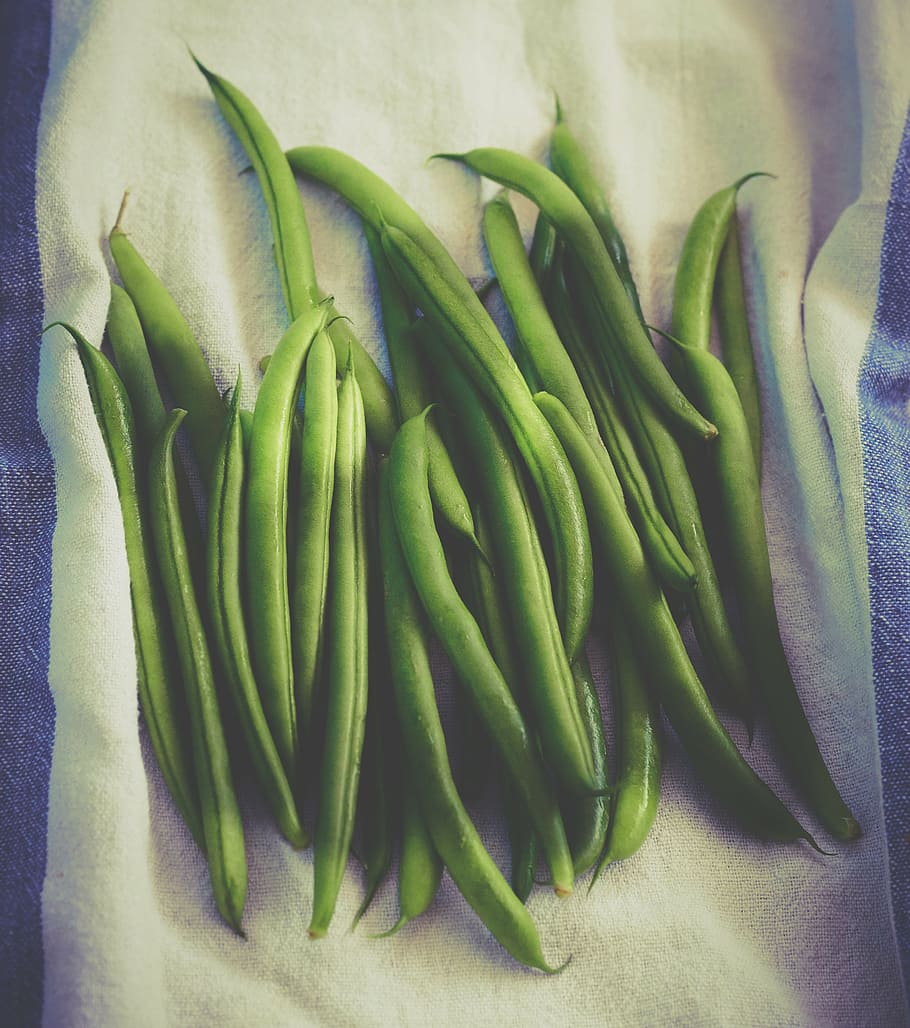 green, string beans illustration, bean, beans, vegetables, food, healthy, vegetable, freshness, food and drink