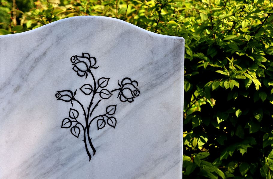 Marble, Plathe, Tombstone, Roses, marble plathe, cemetery, nature, outdoors, creativity, drawing - activity