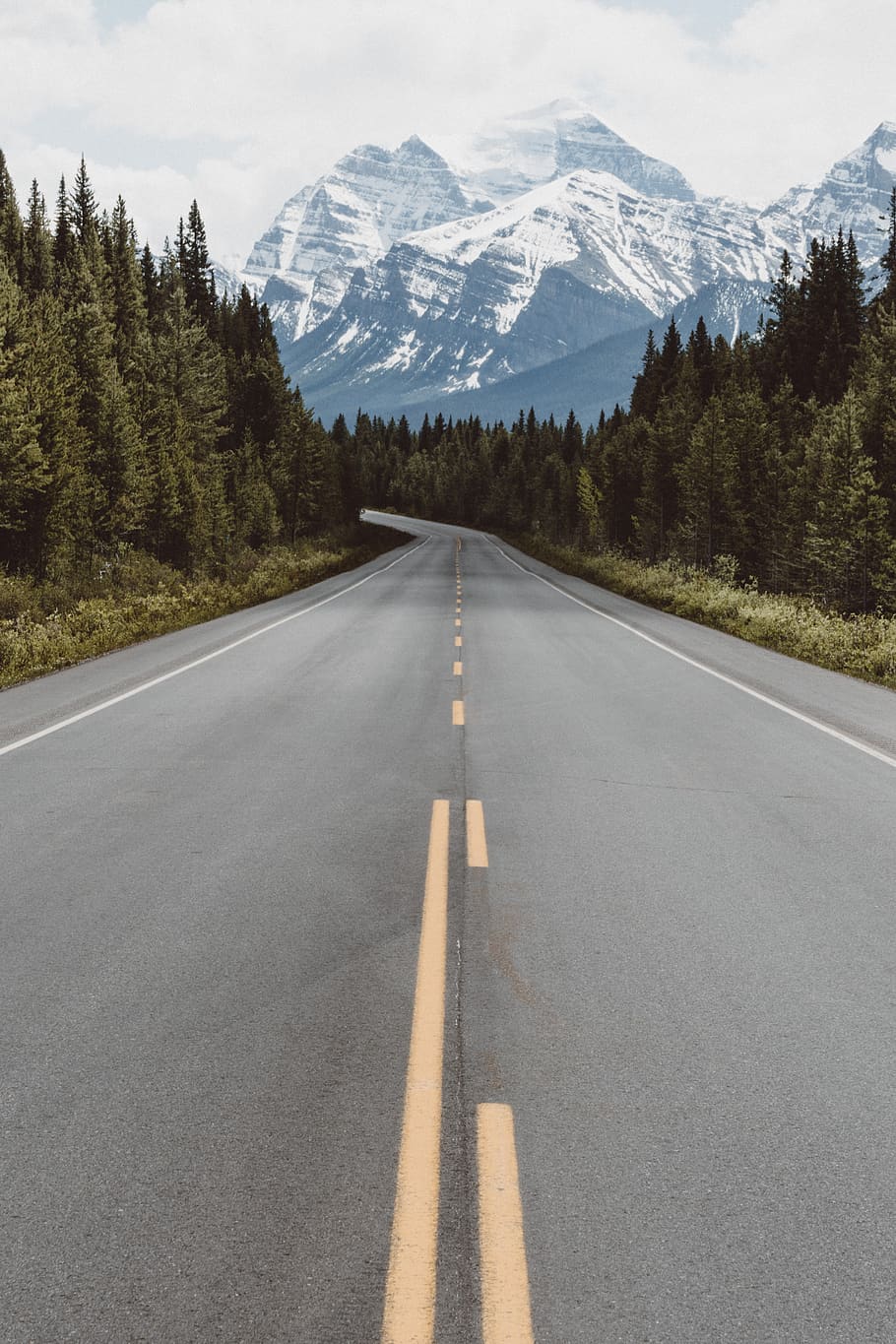 nature, road, travel, adventure, trees, woods, forest, green, mountain, marking