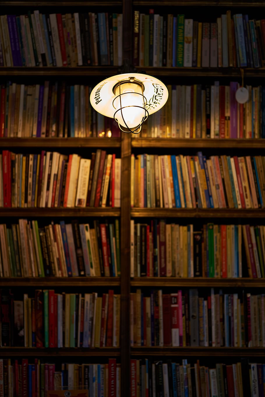 light, books, library, cafe, decor, read, book, romantic, literature, education