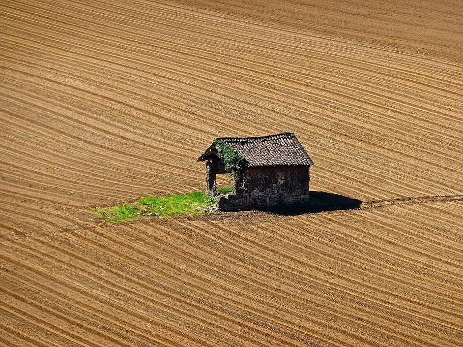 Brown, casa, medio, desierto, antena, fotografía, cabaña, abandonado, de madera, cobertizo