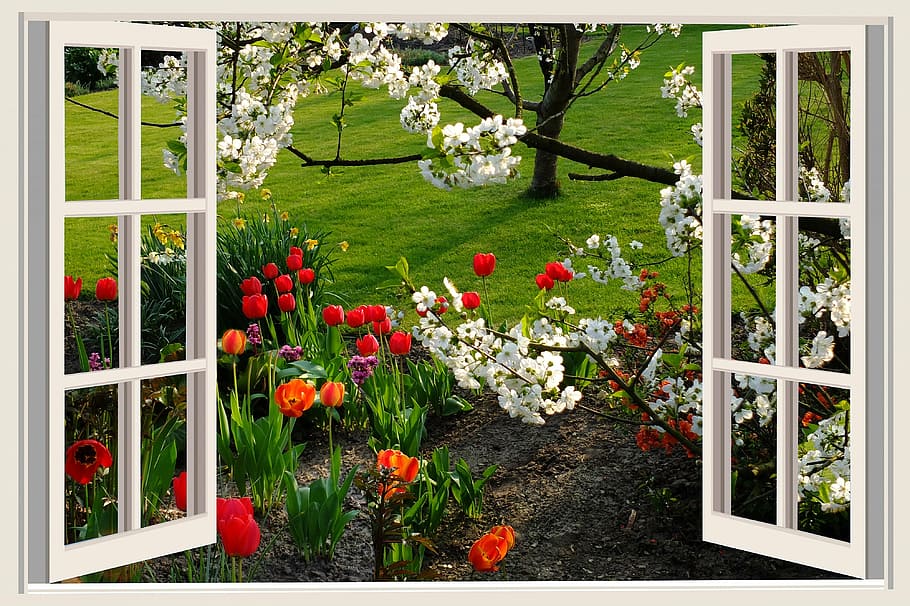 assorted flowers, a beautiful day, good mood, joy, tulips, flowers, window, white window, white window frame, open