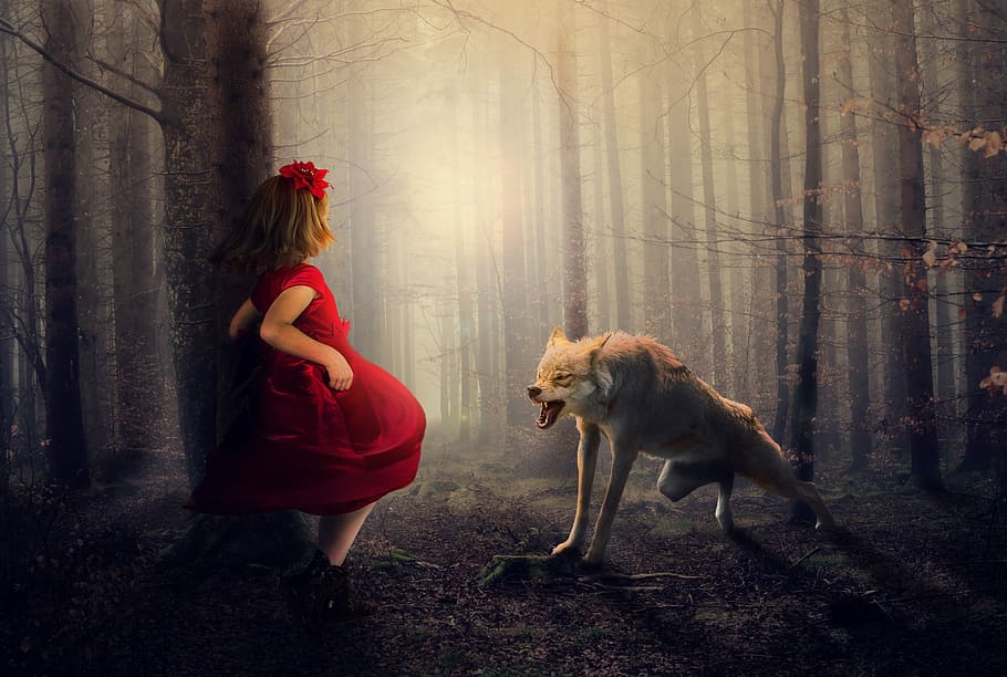 menina, vermelho, vestido, frente, rosnando, lobo, meio, floresta, bosques, nevoeiro