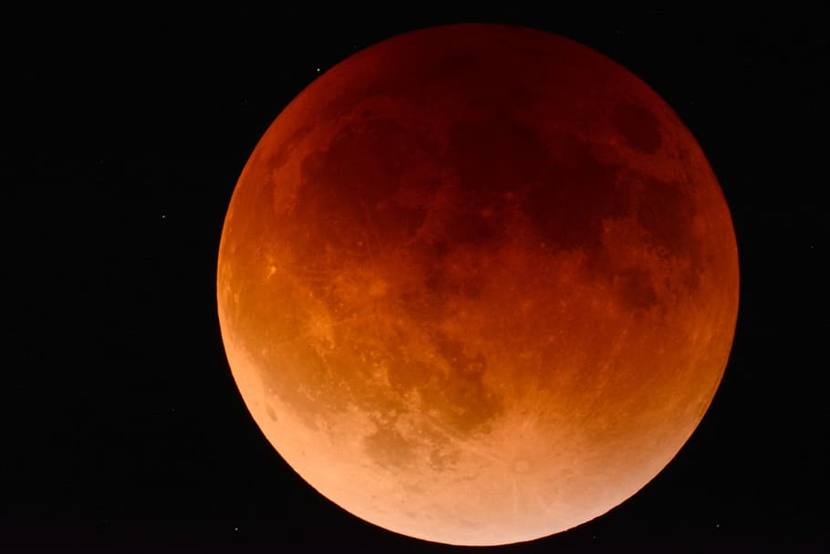shallow, focus, red, moon, eclipse, space, astronomy, lunar, sky, cosmos