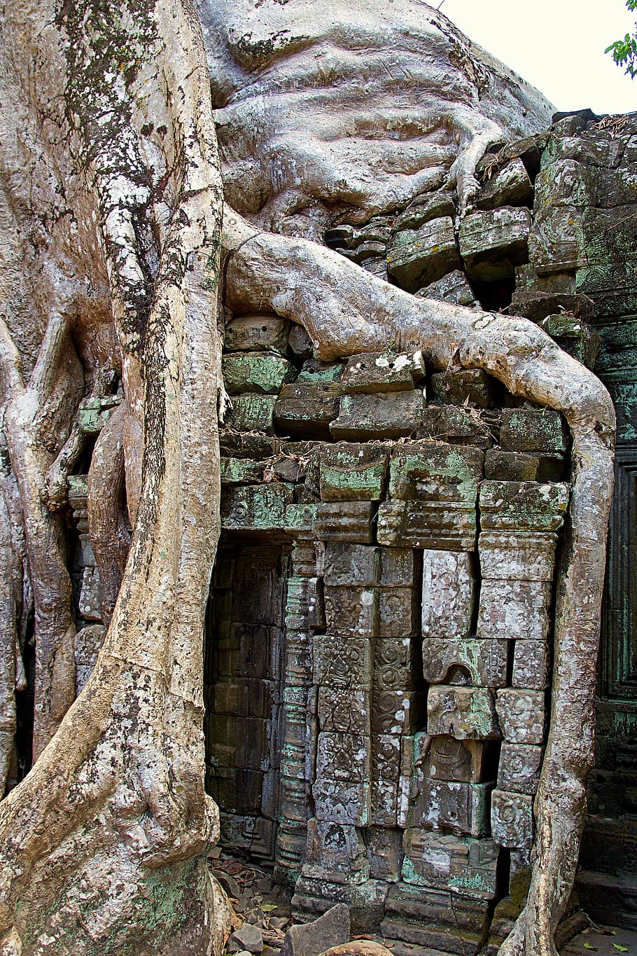 cambodia, siem reap, angkor wat, temple, asia, unesco, world heritage, angkor, temple complex, unesco world heritage
