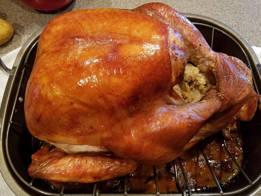 asado, pollo, foto de primer plano de la olla, Turquía, Acción de Gracias, Vacaciones, celebración, estacional, pavo de acción de gracias, cena de navidad