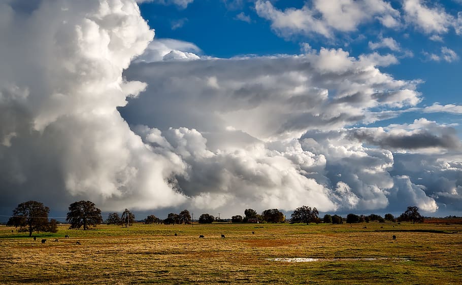 芝生のフィールド, 空, 雲, cloudscape, 曇った, 超現実的な, 図形, 美しい, 夏, hdr