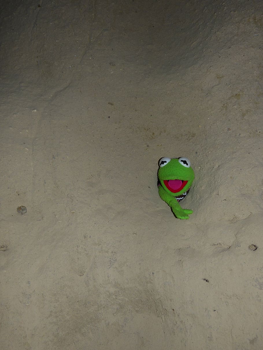 kermit, frog, green, wall, hole, caught, stone, cold, eng, green color
