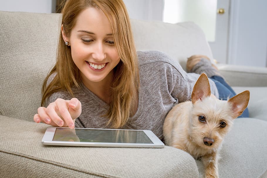 woman, lying, stomach, puppy, inside, room, tablet, living room, dog, girl