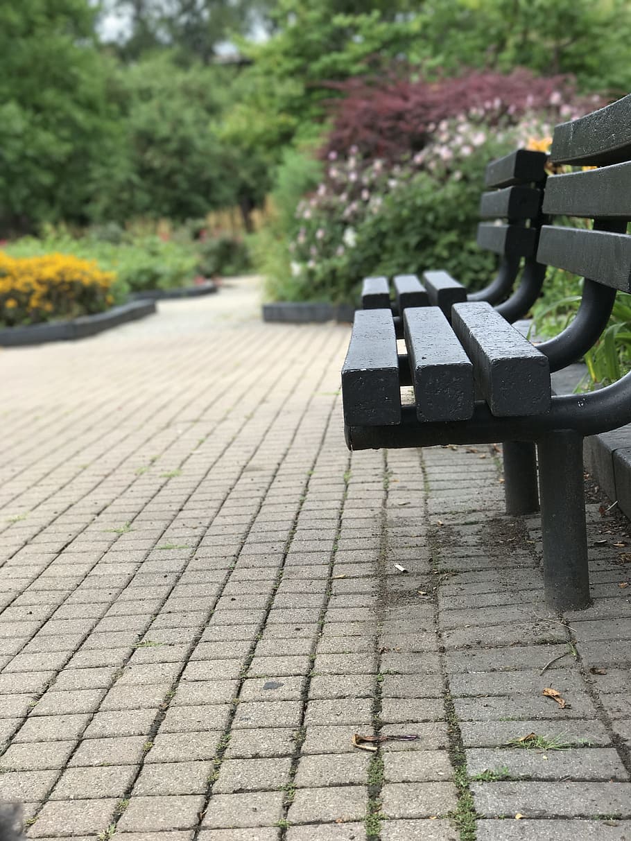park bench, hyde park, bench, day, footpath, focus on foreground, stone, nature, park, outdoors