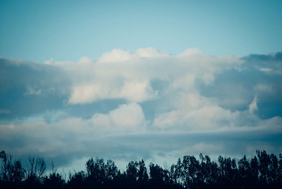 bajo, foto de ángulo, nubes, verde, árboles, azul, cielo, durante el día, línea de árboles, silueta