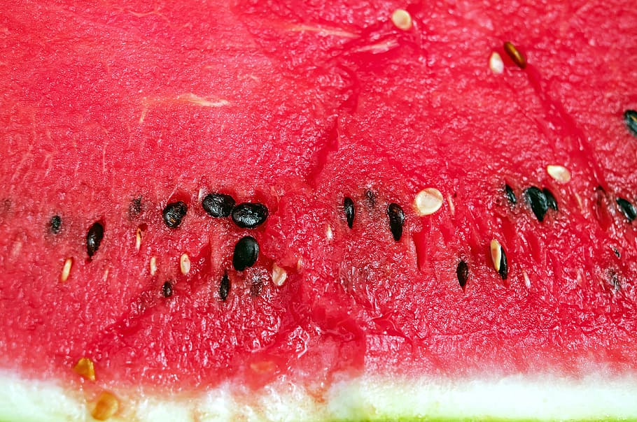 focused, sliced, watermelon, watermelon seeds, melon, fruit, red, juicy, cores, section