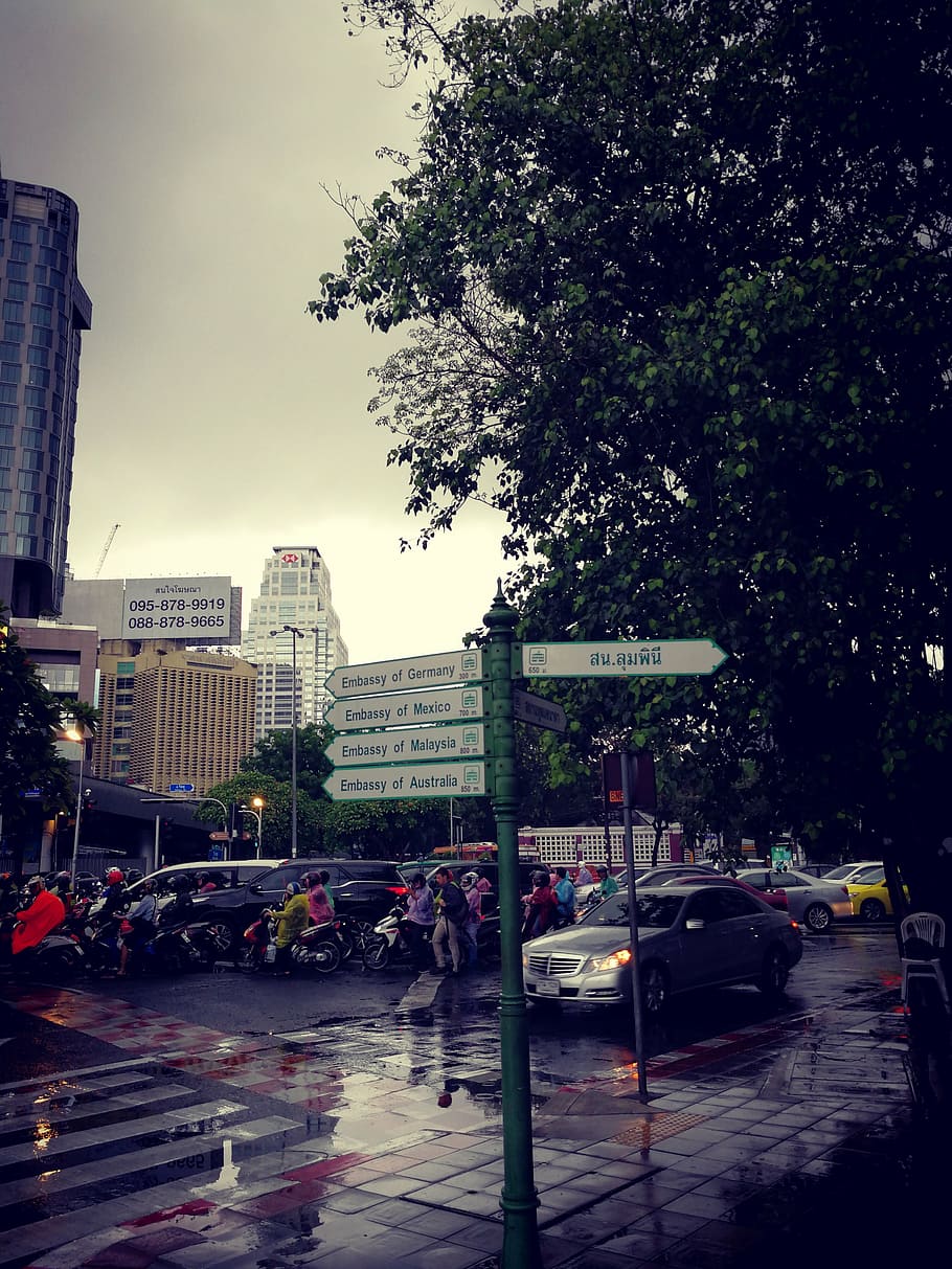 señales de tráfico, bangkok, lluvia, modo de transporte, transporte, automóvil, vehículo de motor, ciudad, arquitectura, exterior del edificio