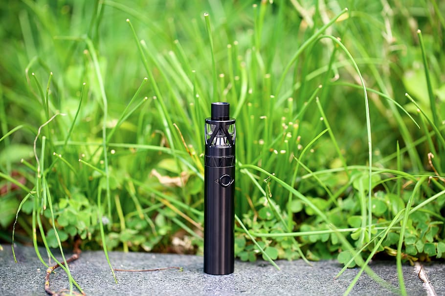 vape, electronic cigarette, vaping, plant, green color, growth, focus on foreground, grass, nature, day
