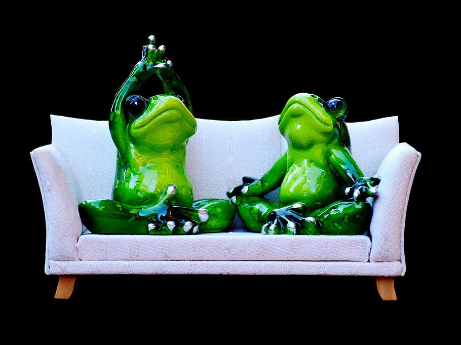 two, frog figurines, sitting, white, fabric sofa, closed, photography, frog, sofa, relaxation