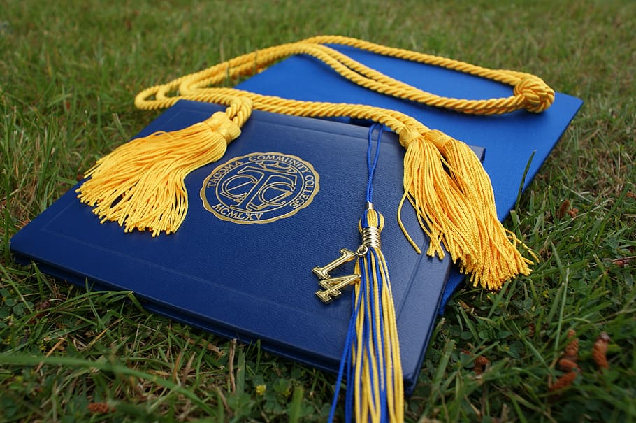 blue, graduation book, hatg, graduation, grads, cap, diploma, education, college, school