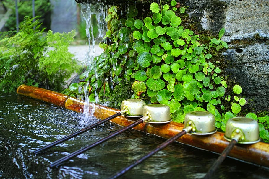 水, 神社, 日本, 自然, 植物, 寺院, 湧き水, 水辺, 神大寺, 日
