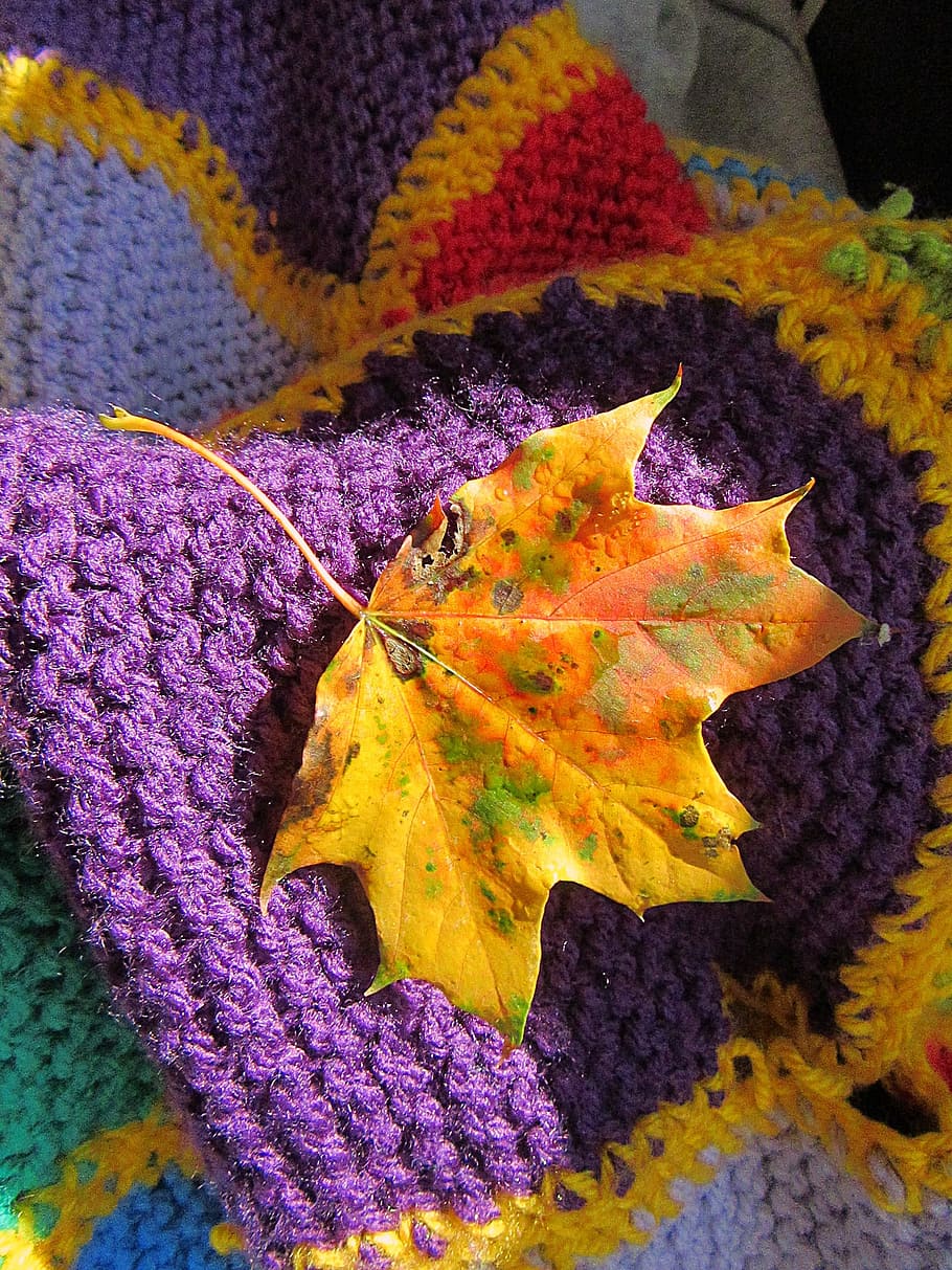 Folha de outono, folha, outono, cores de outono, estação, aconchegante, cobertor, retalhos, cor, roxo