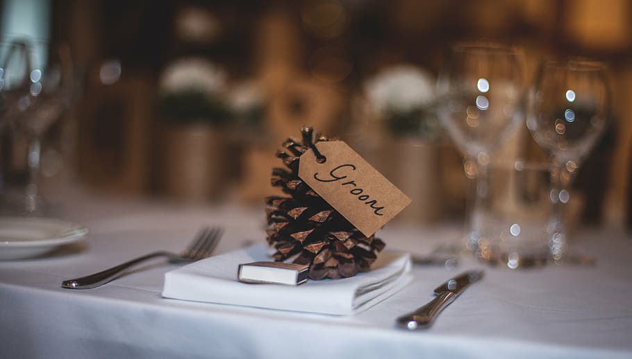 close-up photo, pinecone, groom, text, dining, table, set, events, wedding, venue
