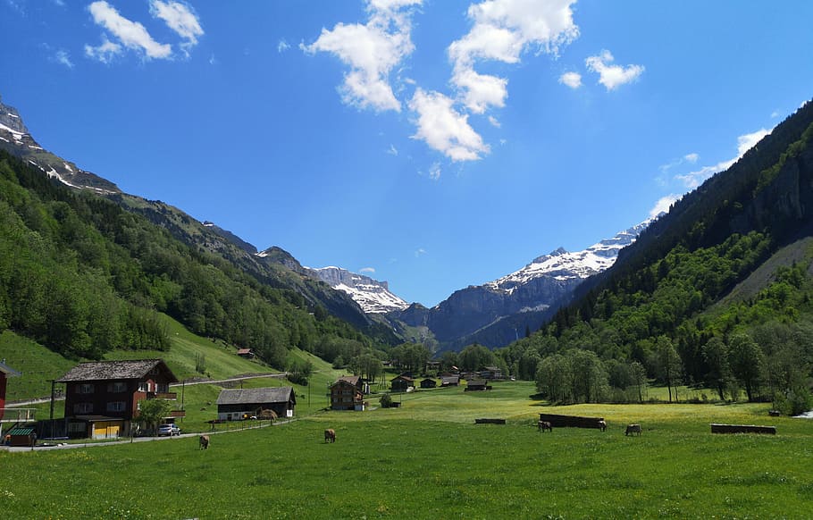 Cantão, Suisse, cabana, perto, colinas, montanha, céu, plantar, grama, paisagem - natureza