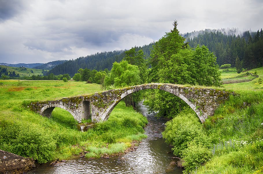 stone bridge, creek, nature, bulgaria, landscape, rhodope mountains, spring, lush, meadow, stream
