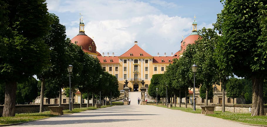 moritz castle, castle, saxony, attractions in moritzburg, landmark, schlossgarten, fairy tales, royal castle, architecture, building exterior