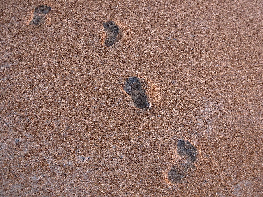 Foot, Steps, Beach, Imprint, Sand, foot steps, summer, sea, nature, walk