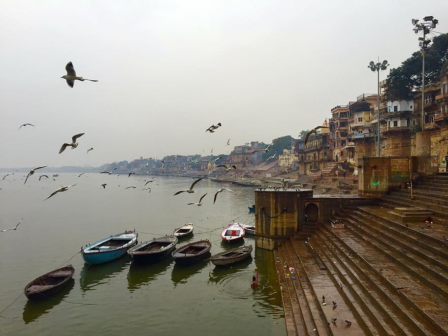 Village, al lado, cuerpo, agua, rodeado, barcos, pájaros, volando, Varanasi, Ghats