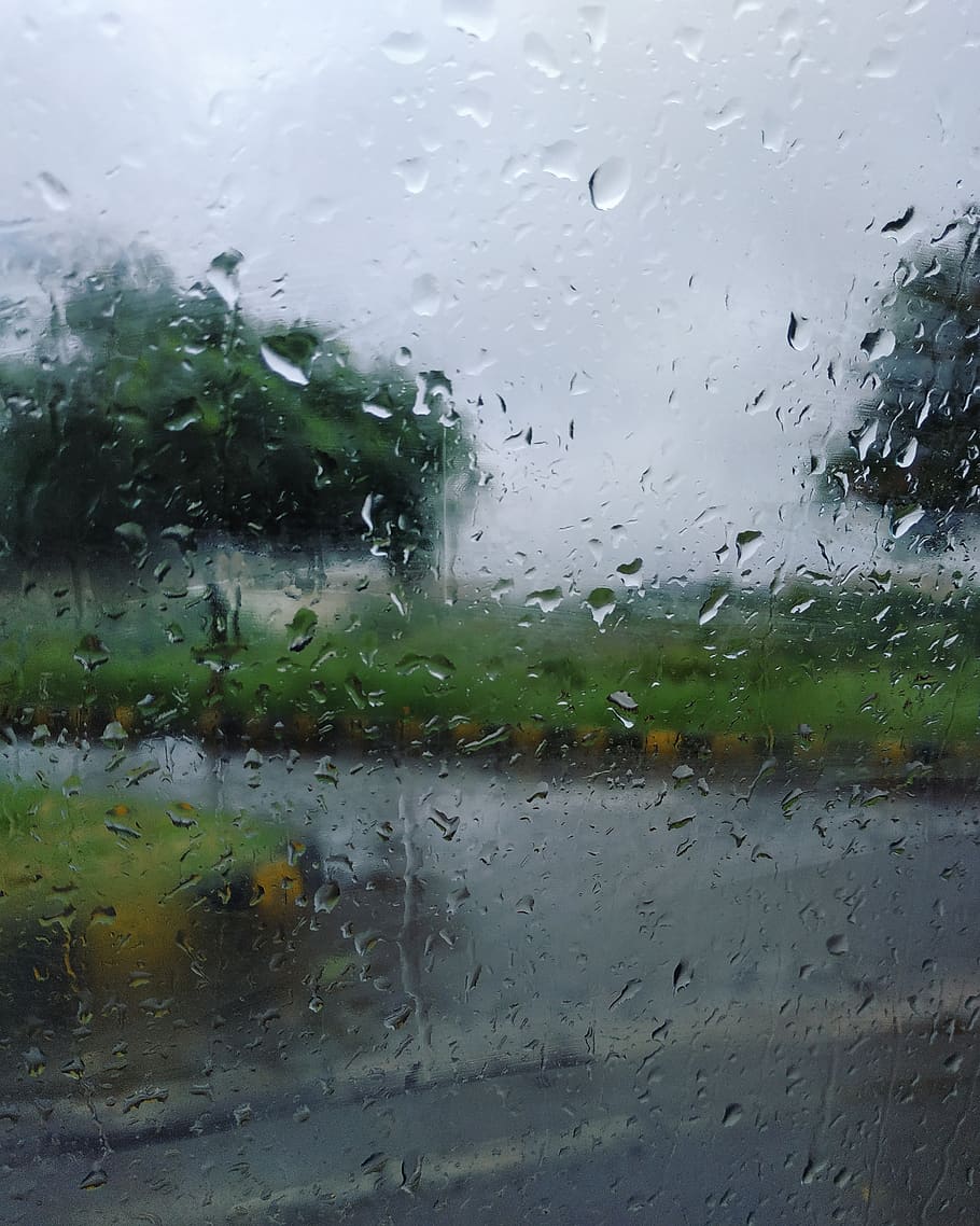 rain, glass, window, wet, weather, climate, gloomy, storm, trees, road