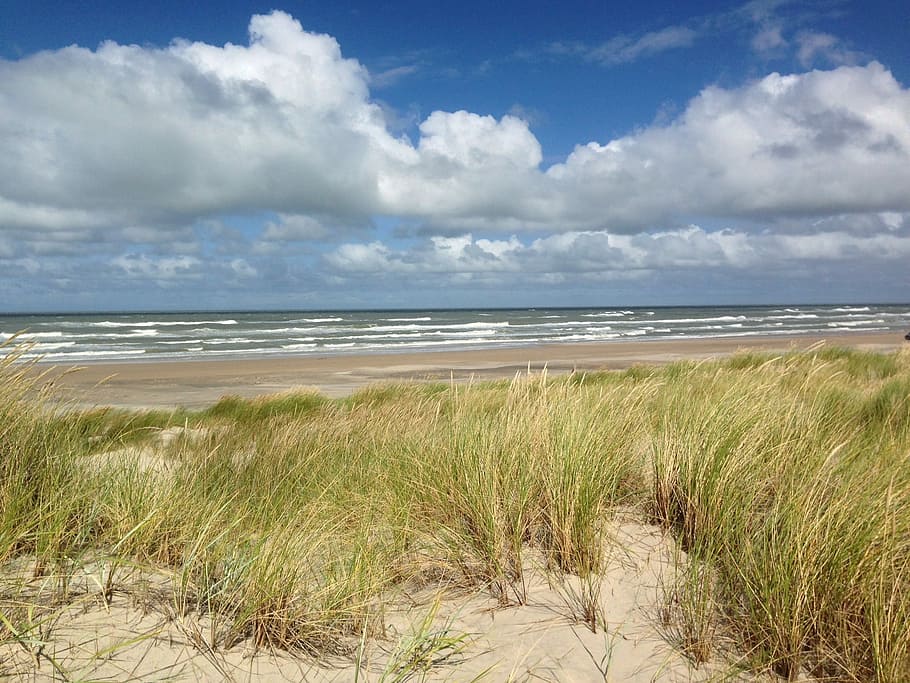 Dunes, Denmark, North Sea, Nature, sky, grass, beach, sea, marram grass, land