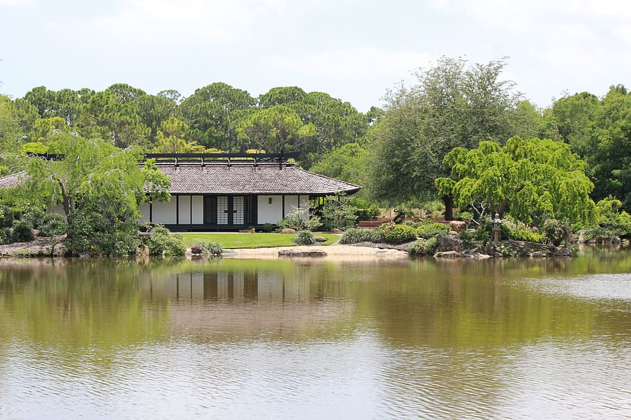 Rumah Jepang, Rumah, Jepang, asia, arsitektur, tradisional, gaya Jepang, tempat tinggal, air, refleksi