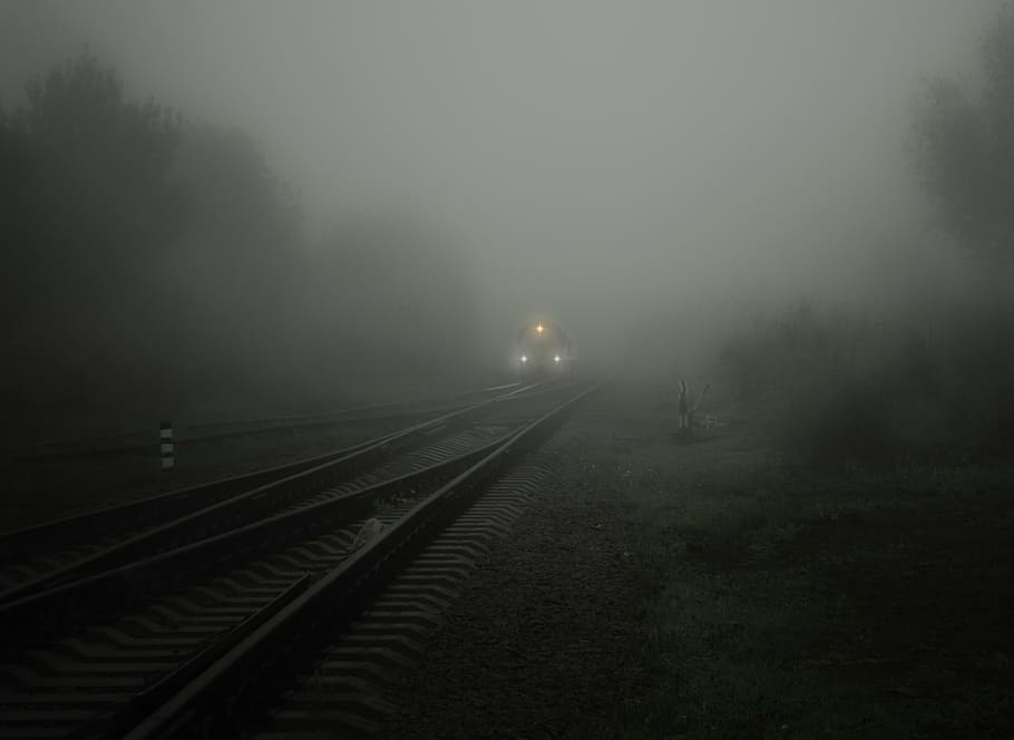 train, rail, fog, lights, bill, seemed, soft, circuit, vegetation, grey