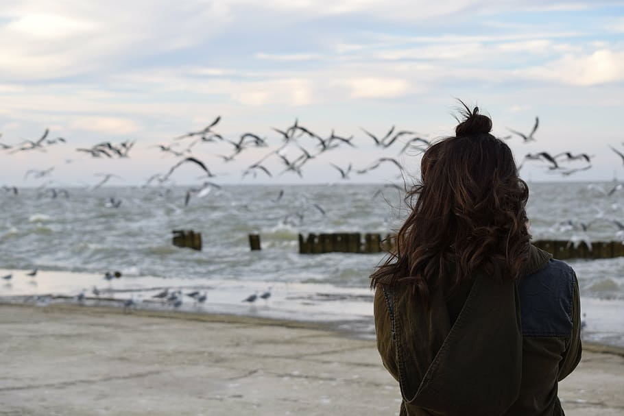 woman, standing, seashore, women, near, capture, flock, seagulls, people, girl